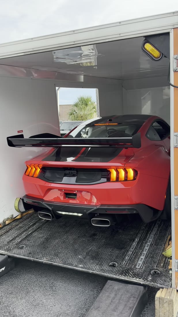 Video of a custom Ford Mustang built by Bozard Built in St. Augustine